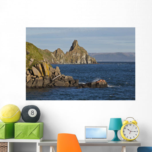 Pacific Walrus Group Males Wall Decal