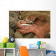 Up Pacific Walrus Male Wall Decal