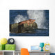 Pacific Walrus Males Hauled Wall Decal