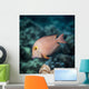 Goldring Surgeonfish near Kona Wall Decal