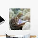 Sharp Teeth Can Be Wall Decal