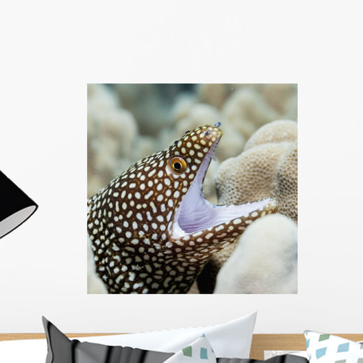Sharp Teeth Can Be Wall Decal