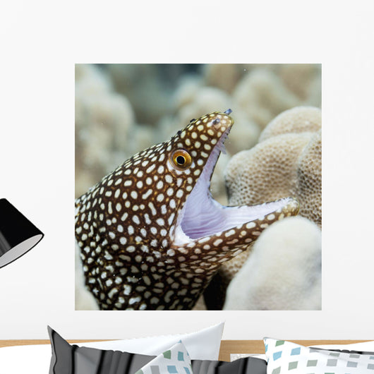 Sharp Teeth Can Be Wall Decal