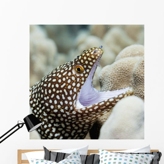 Sharp Teeth Can Be Wall Decal