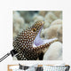 Sharp Teeth Can Be Wall Decal