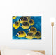 Racoon Butterflyfish Schooling near Wall Decal