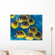 Racoon Butterflyfish Schooling near Wall Decal