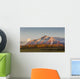 Composite Wall Decal