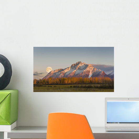 Composite Wall Decal