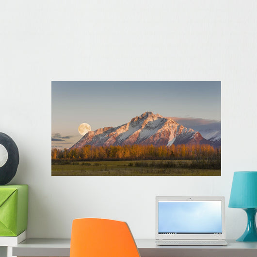 Composite Wall Decal