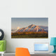 Composite Wall Decal