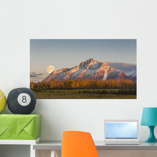 Composite Wall Decal