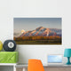 Composite Wall Decal
