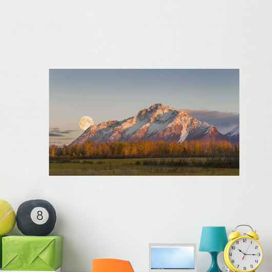 Composite Wall Decal