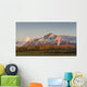 Composite Wall Decal