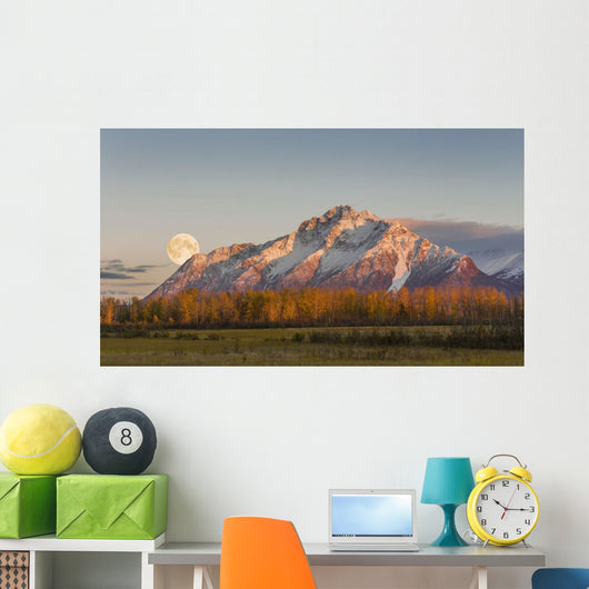 Composite Wall Decal