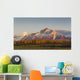 Composite Wall Decal