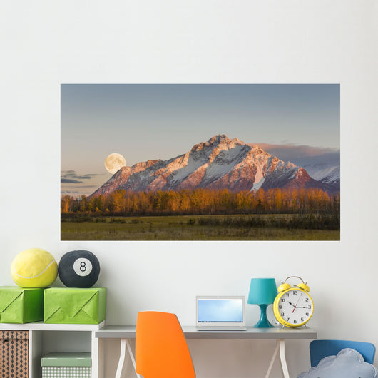 Composite Wall Decal