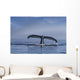 Humpback Whale Lifts Its Wall Decal Design 2
