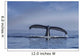Humpback Whale Lifts Its Wall Decal Design 2