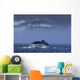 Humpback Whale Lifts Its Wall Decal Design 1