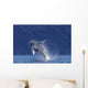Young Humpback Whale Leaps Wall Decal Design 2