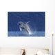 Young Humpback Whale Leaps Wall Decal Design 2