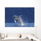 Young Humpback Whale Leaps Wall Decal Design 2