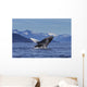 Young Humpback Whale Leaps Wall Decal Design 1