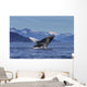 Young Humpback Whale Leaps Wall Decal Design 1