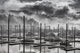 Black and White Fog Wall Decal