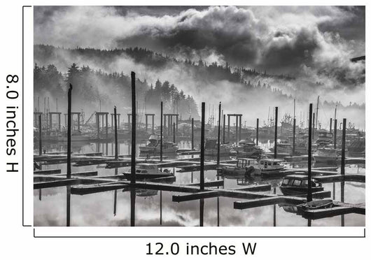 Black and White Fog Wall Decal