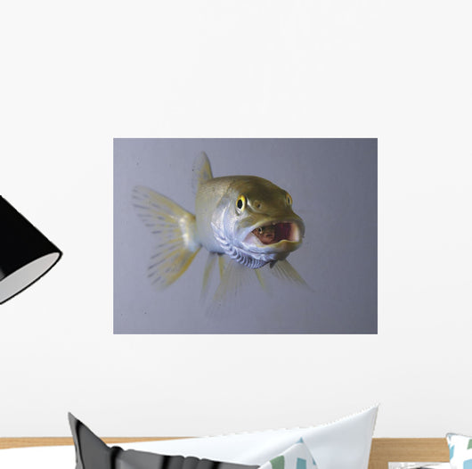 Captive Wall Decal
