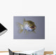 Captive Wall Decal