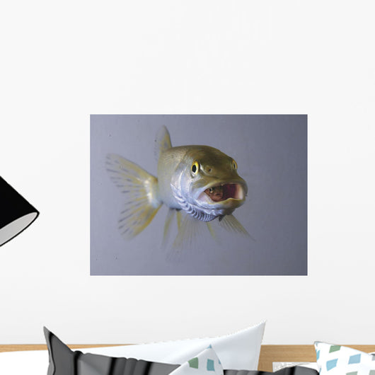 Captive Wall Decal