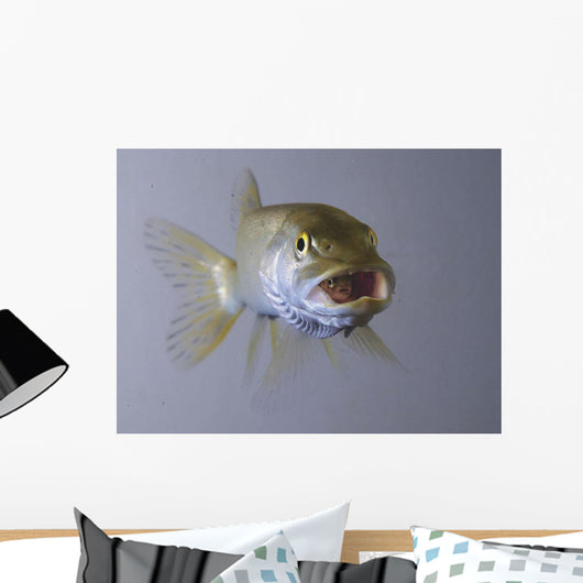 Captive Wall Decal