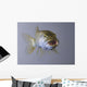 Captive Wall Decal