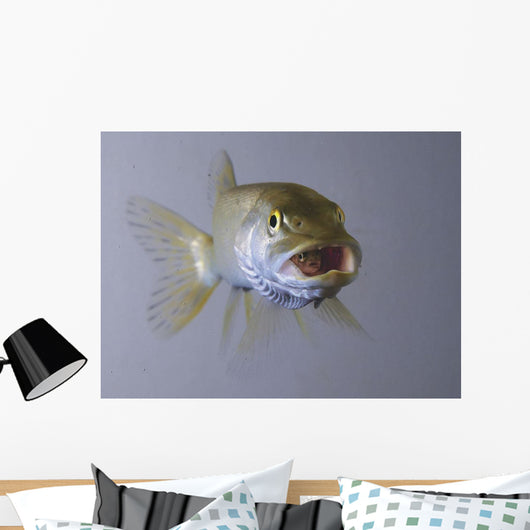 Captive Wall Decal