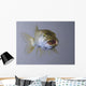 Captive Wall Decal