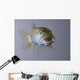 Captive Wall Decal