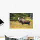 Large Bull Moose Rut Wall Decal