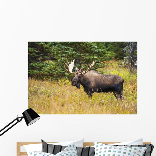 Large Bull Moose Rut Wall Decal