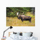 Large Bull Moose Rut Wall Decal