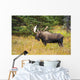 Large Bull Moose Rut Wall Decal