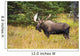Large Bull Moose Rut Wall Decal
