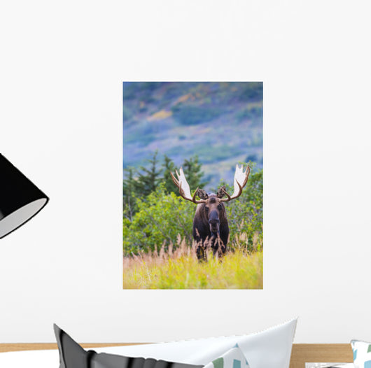 Large Bull Moose Standing Wall Decal