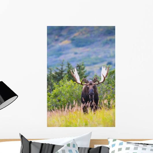 Large Bull Moose Standing Wall Decal