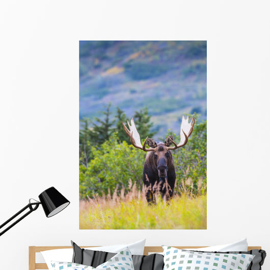 Large Bull Moose Standing Wall Decal