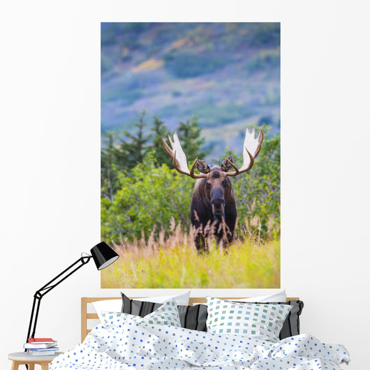 Large Bull Moose Standing Wall Decal