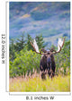 Large Bull Moose Standing Wall Decal